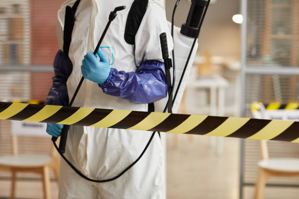 Professional Odor Removal technician working in Lena, IL